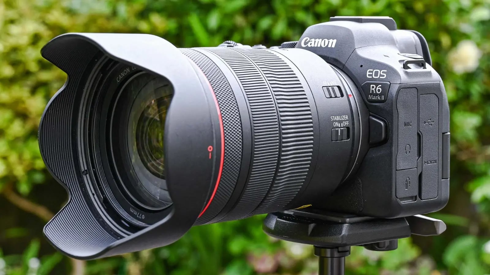 Canon R6 Mark II — 1