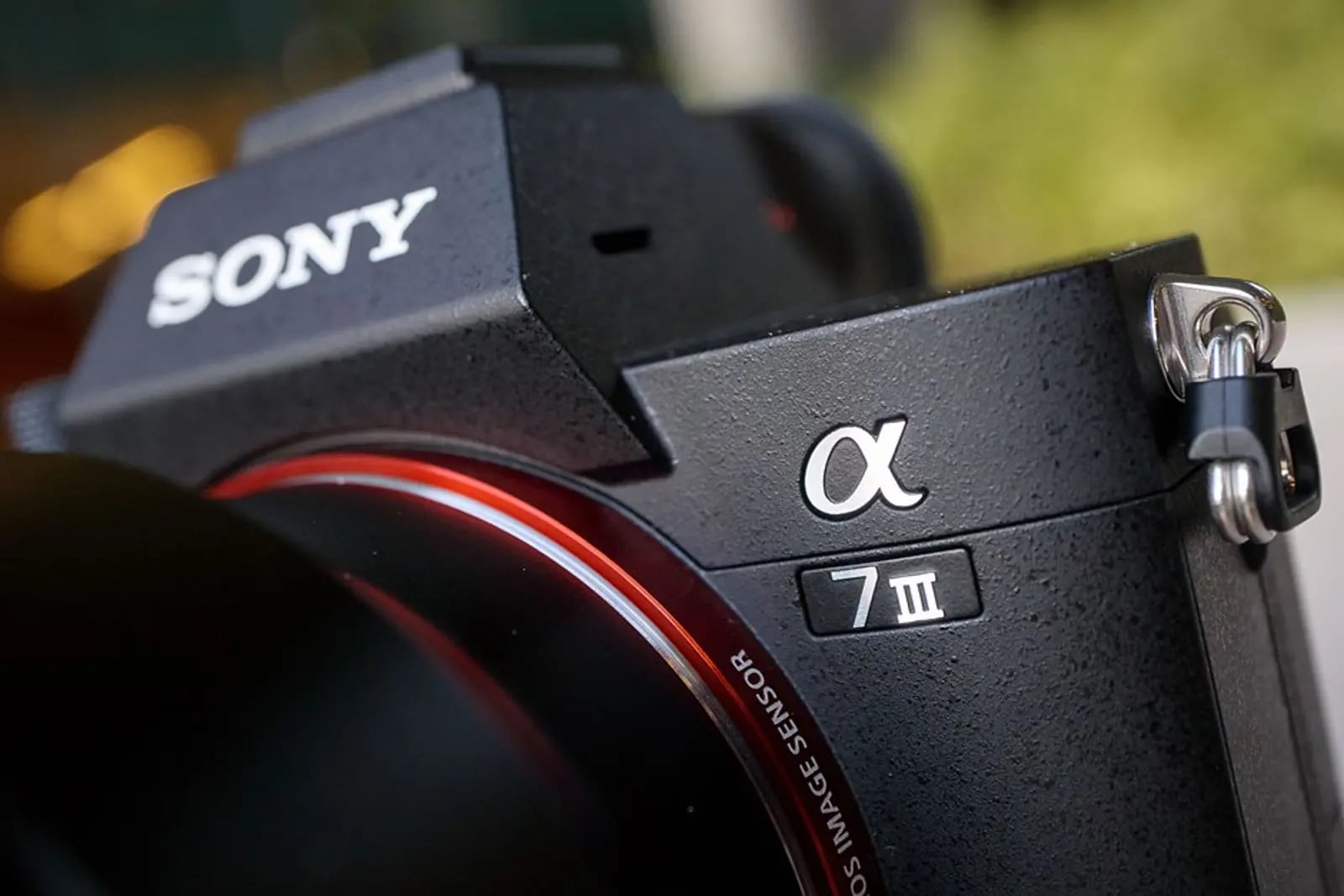 Sony a7III — 1